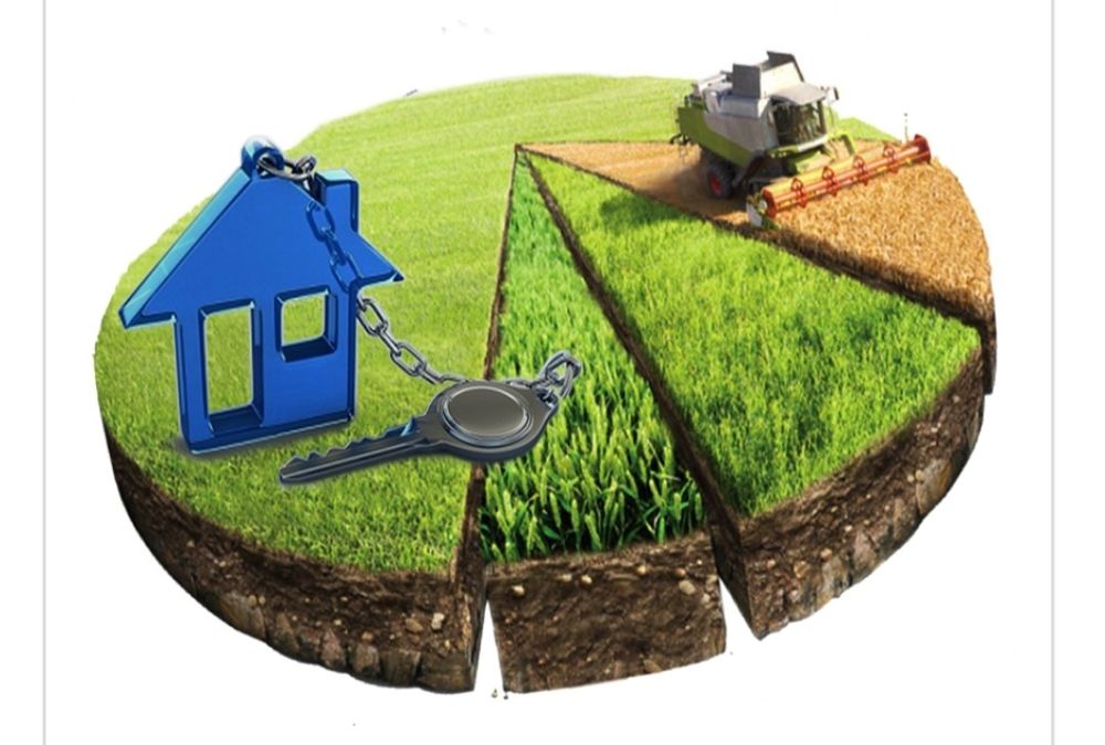 Земля. Архитектор