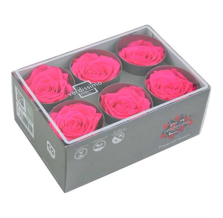 Cutie cu 6 Trandafiri Criogenați Roz Magenta – Cadoul etern!