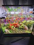 Acvariu 70L utilat, filtru, co2, lampa Chihiros