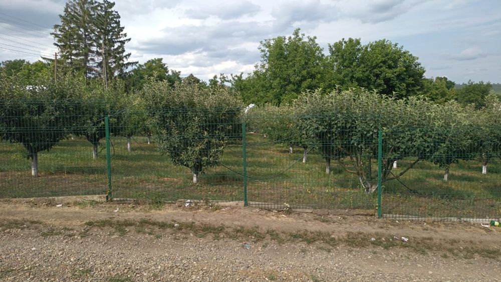 Vând teren intravilan