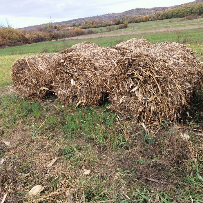 Baloții de. Vanzare