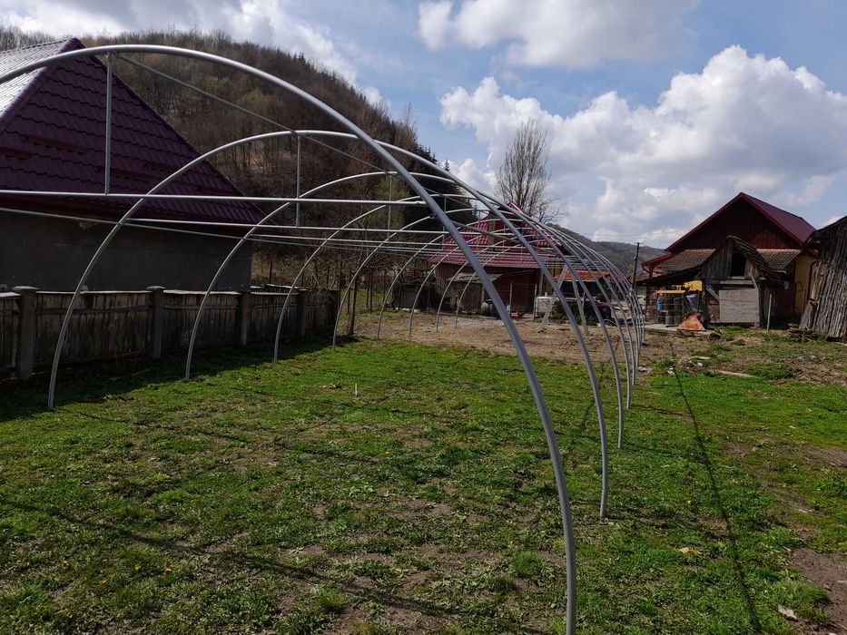 Solarii legume orice dimensiuni
