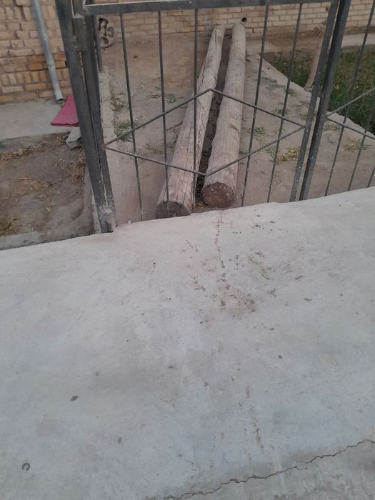 Oğoch bollor sotiladi urganchda