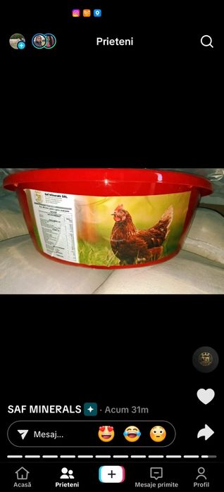 Block vitamino mineral pentru găini pui rate curcan gasca păsări