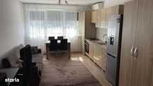 Apartament 2 camere pet friendly,parcare subterană, strada Rodnei Cluj
