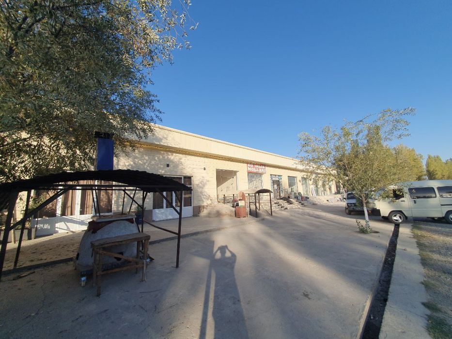 BINO SOTILADI: Foyldalanishga Tayyor!