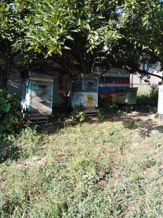 Продам улий домик