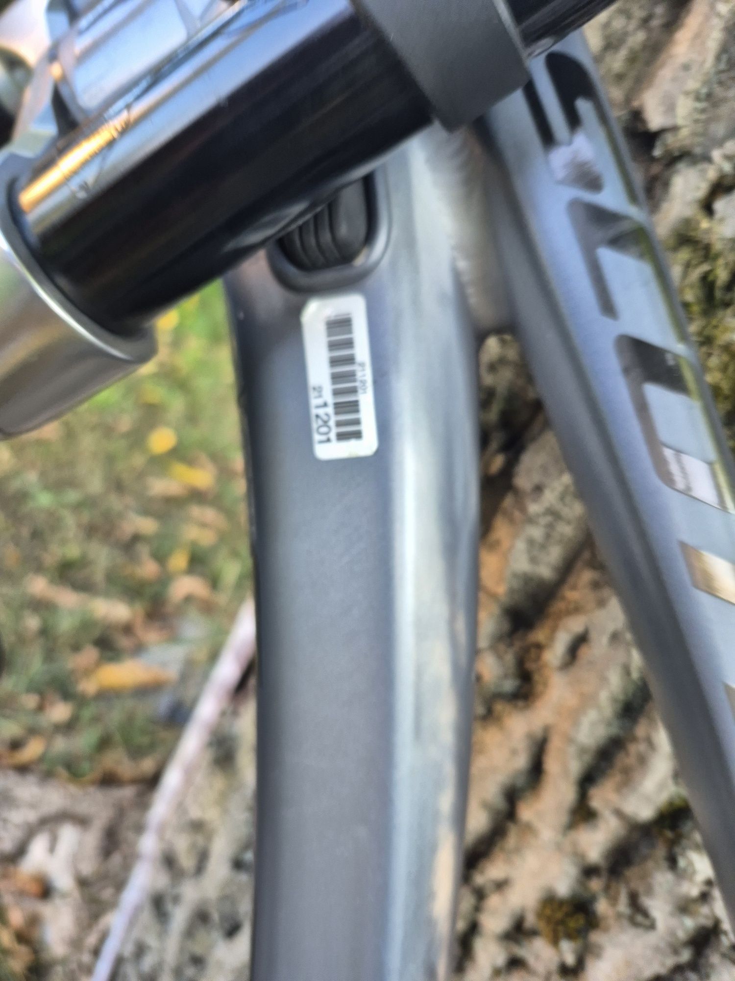 Scott GAMBLER 2023 M