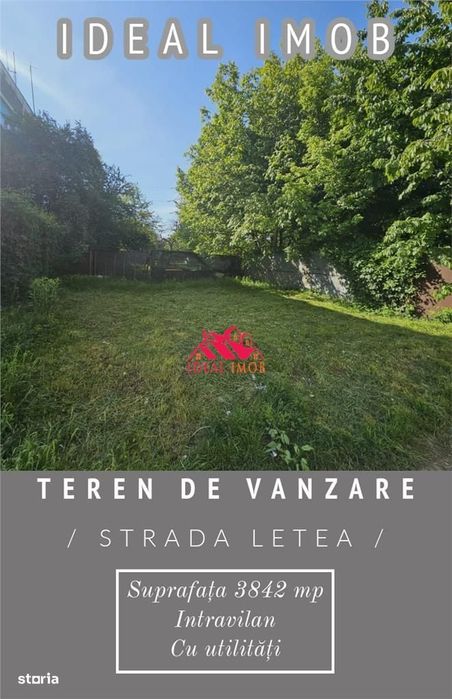 Teren De Vanzare Str letea - 3842 mp