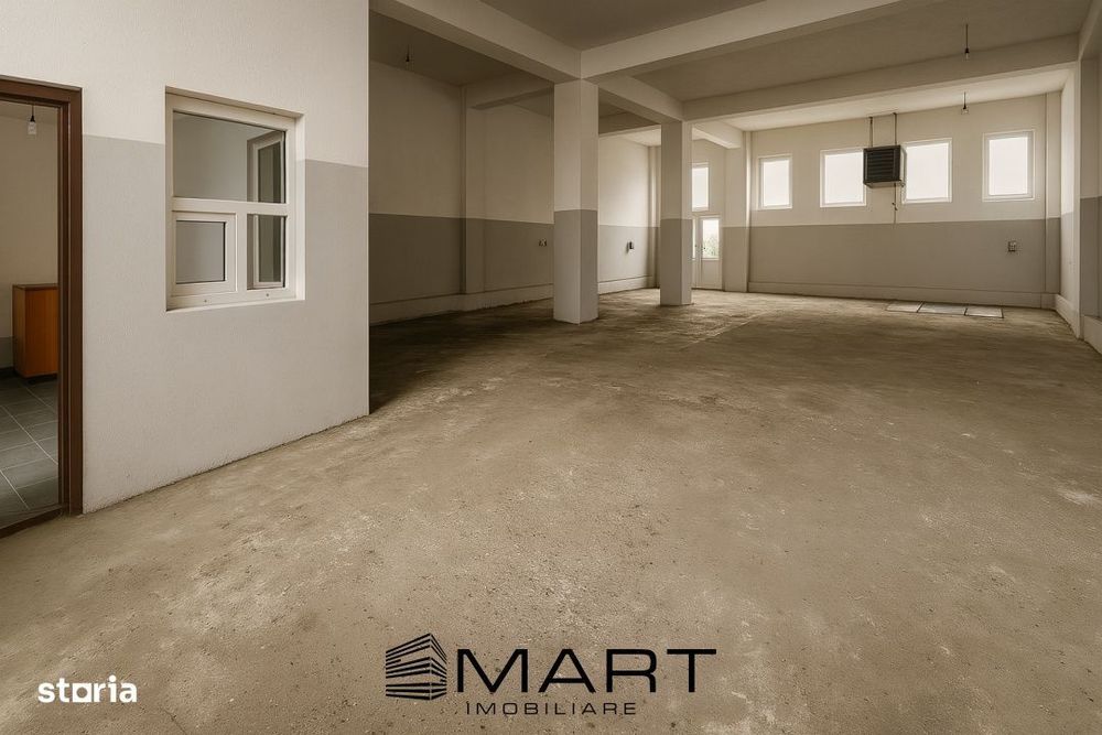 Hala 375mp zona Calea Surii Mari