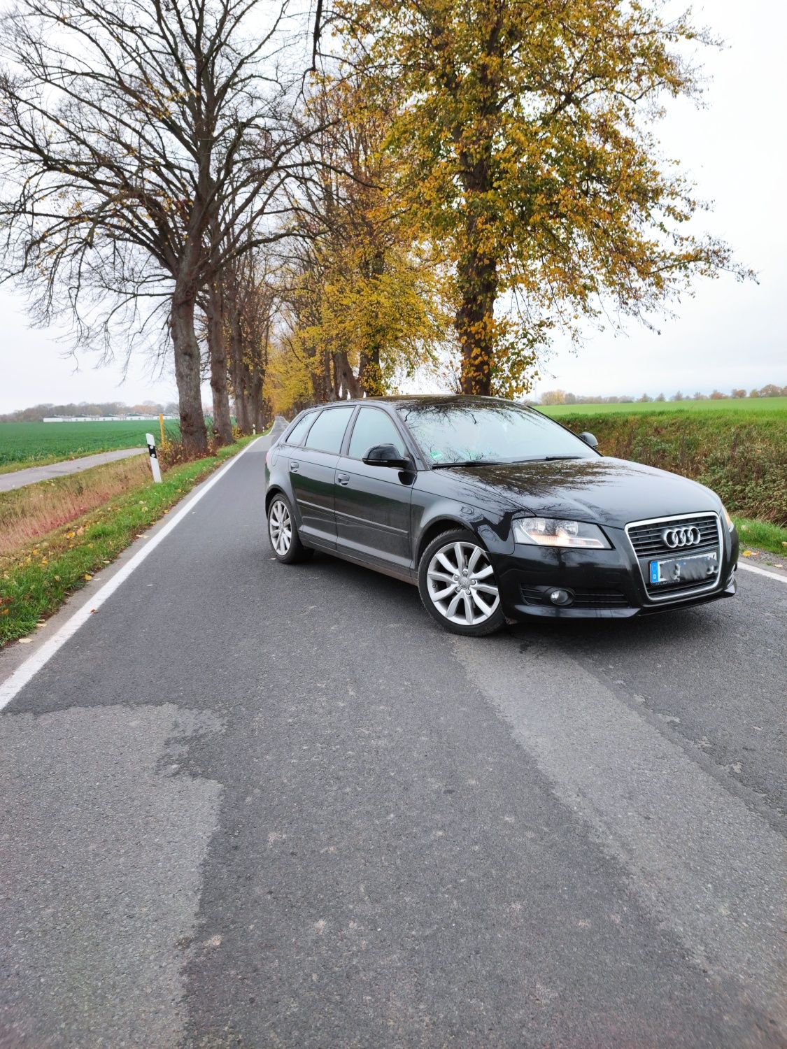 AUDI A3, 2009, TDI, 17OCP