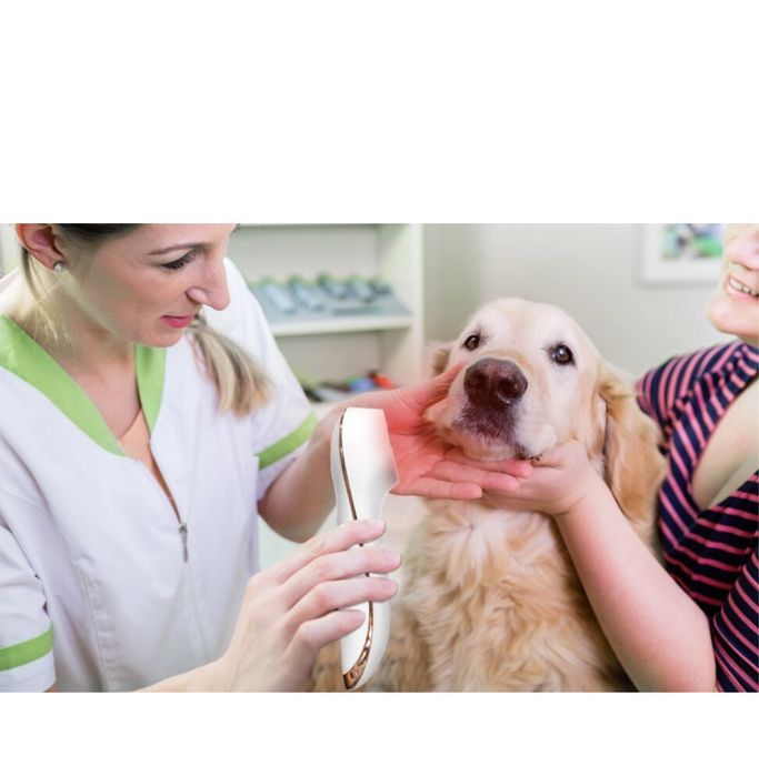 Laser profesional pentru dureri, nou,