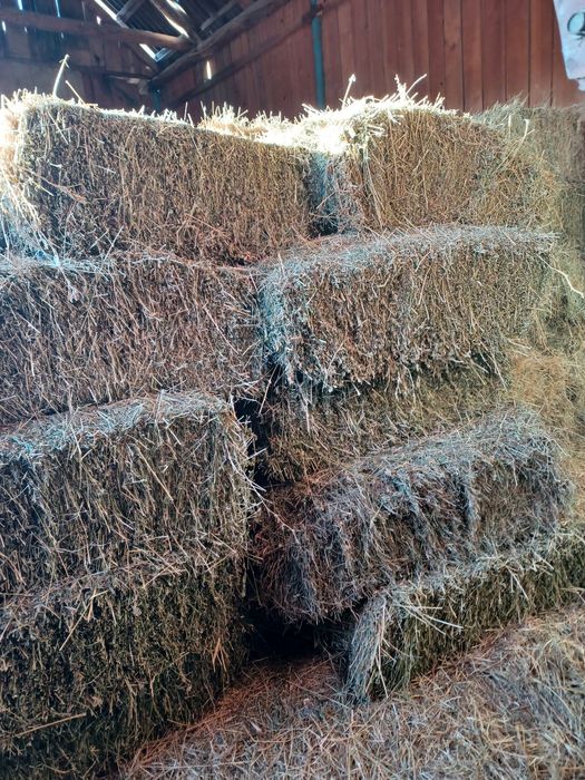 Baloți de lucernă și fân