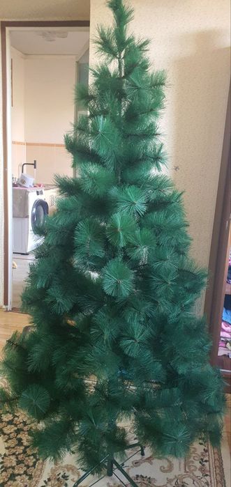 Ёлка новогодняя . Высота 1.80.