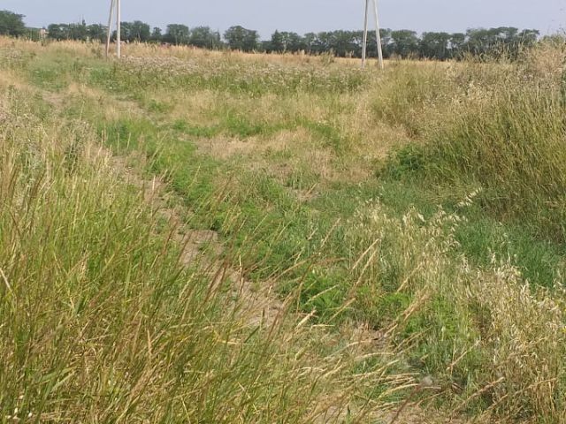 Участок п.Ахши по Кульджинке 67км