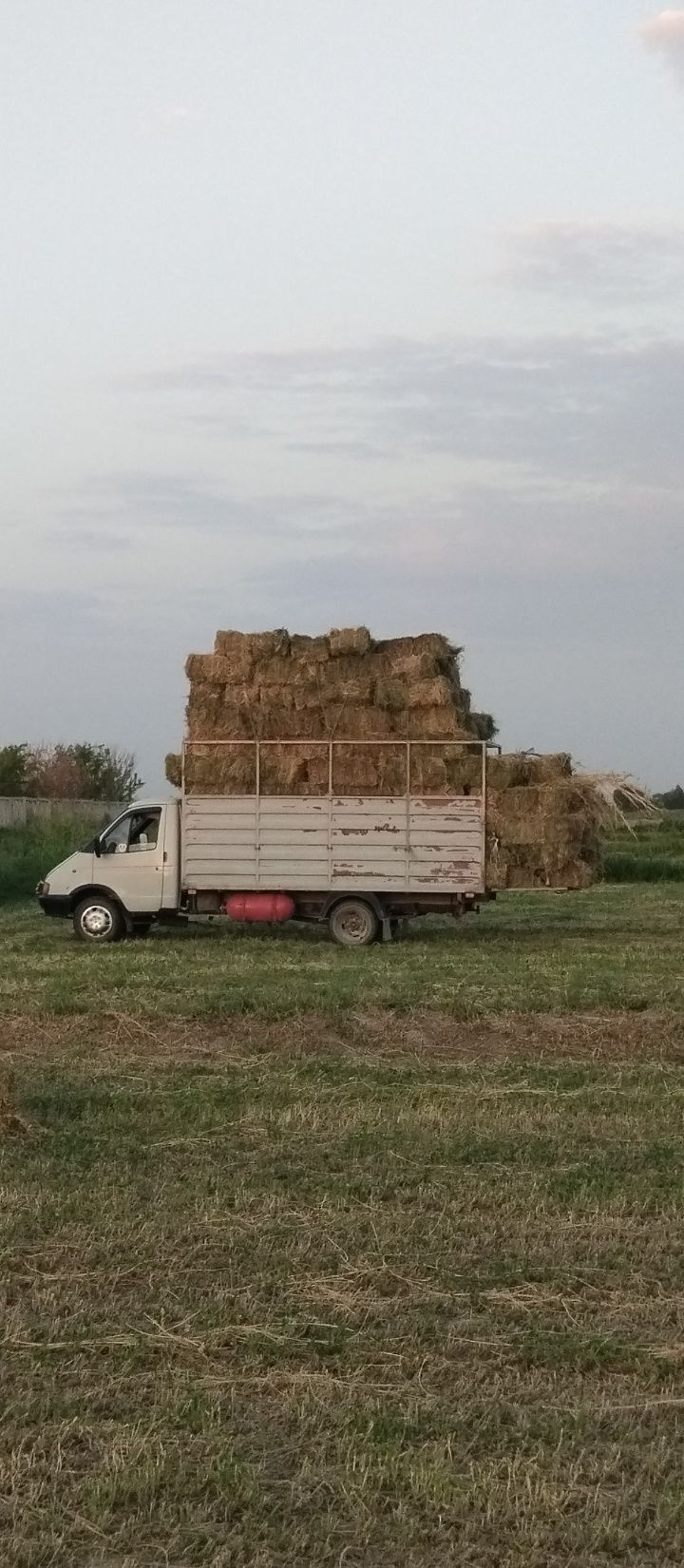 Газель бортовой.