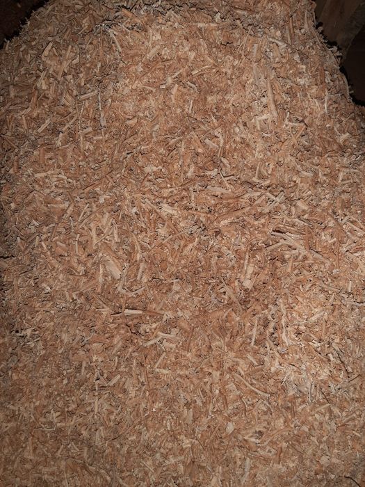 Vând rumegus din lemn de esență tare