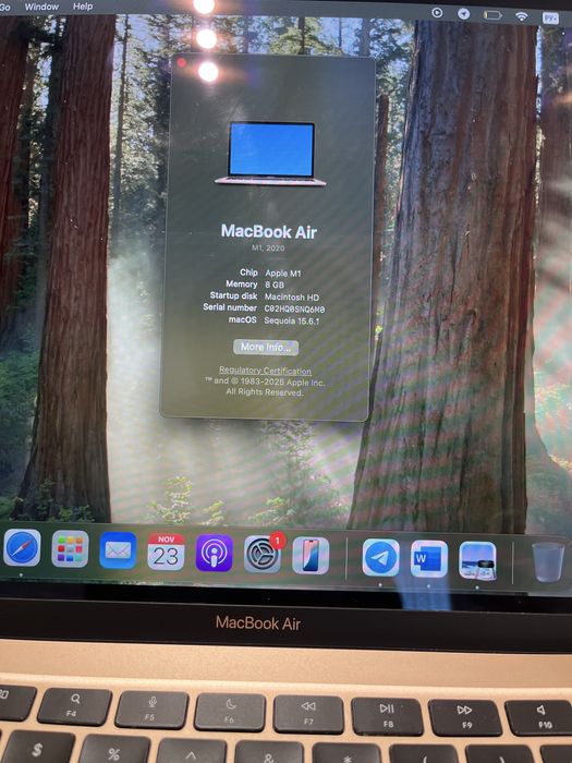 MacBook Air M1 8/256