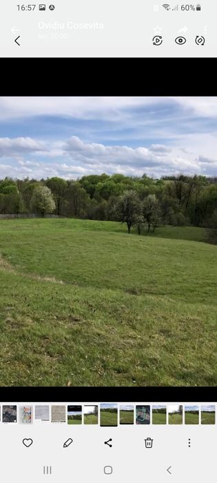 Teren de vânzare 2 hectare 142m² Coșevița jud.Timiș