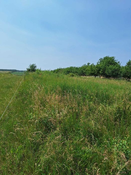 De vânzare teren intravilan 2800 mp - Zalău