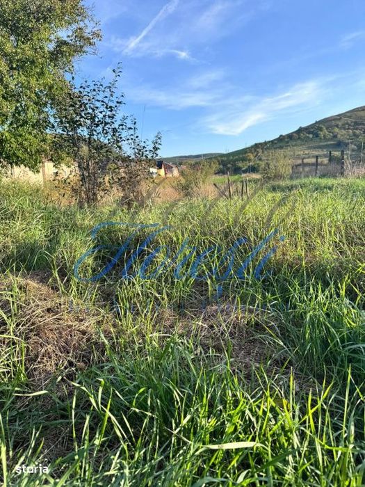 Oportunitate , teren intravilan Luna de sus 28 ml front stradal, 5800m