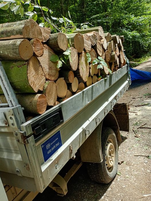 Lemn de foc carpăn grăsan stejar
