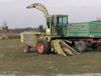 Clasa jaguar Sf 80
