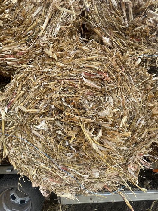 Vand Baloti de mazare, coceni, paie de orzoica si grau