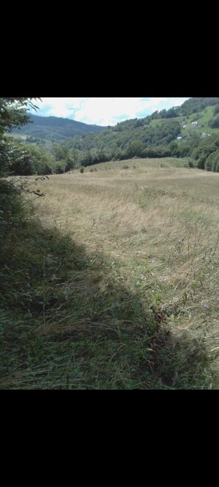 Casa si terenuri in Abrud, Alba