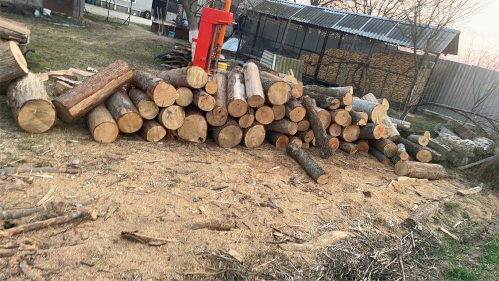 ‼️Lemne de foc de cea mai bună calitate la cele mai mici prețurii