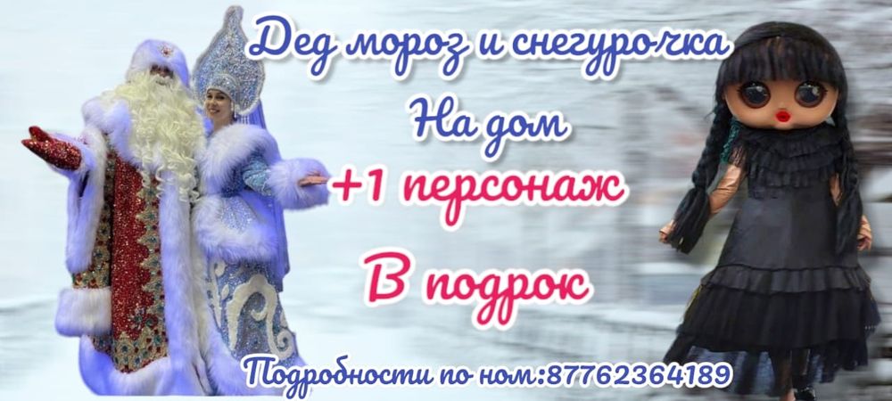 Дед мороз и снегурочки на дом