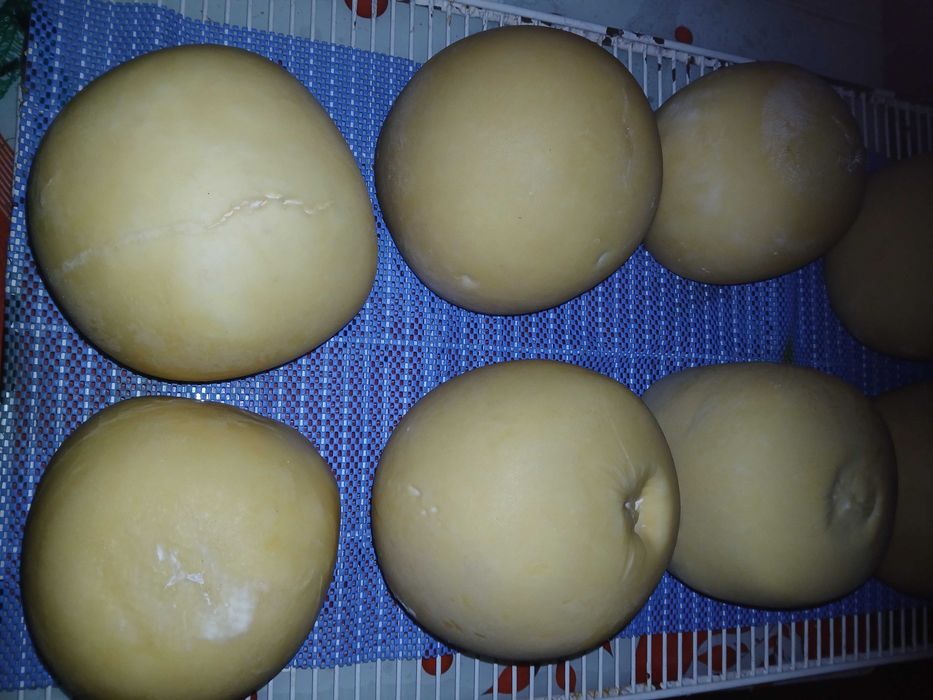 De vanzare produse lactate din lapte de VACA