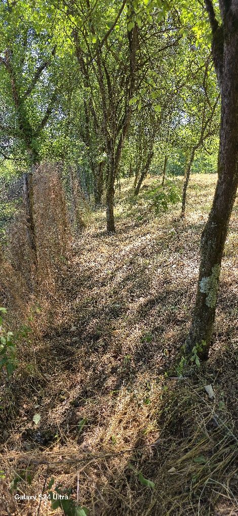 Teren intravilan 2500 mp la sat