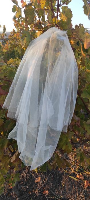 Vand rochie de mireasa