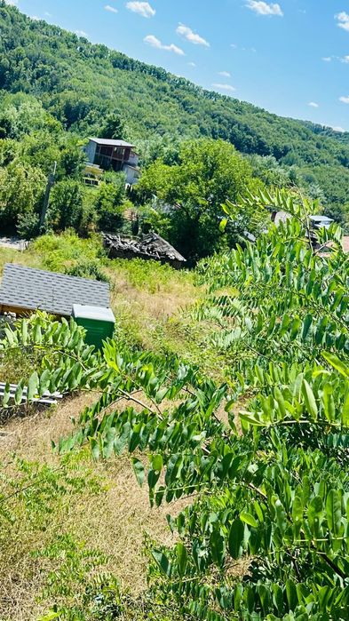Teren de vânzare Stefanesti- Enculesti/Ploscaru Argeș