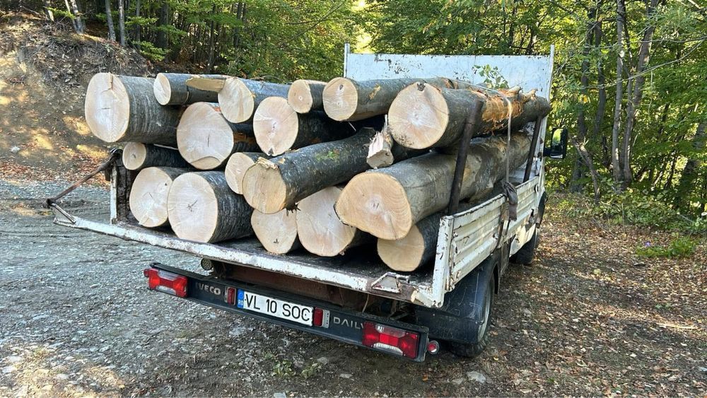 Lemn foc ,esenta fag