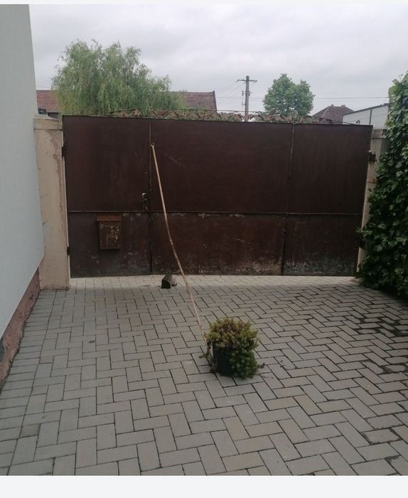 Vând poartă intrare