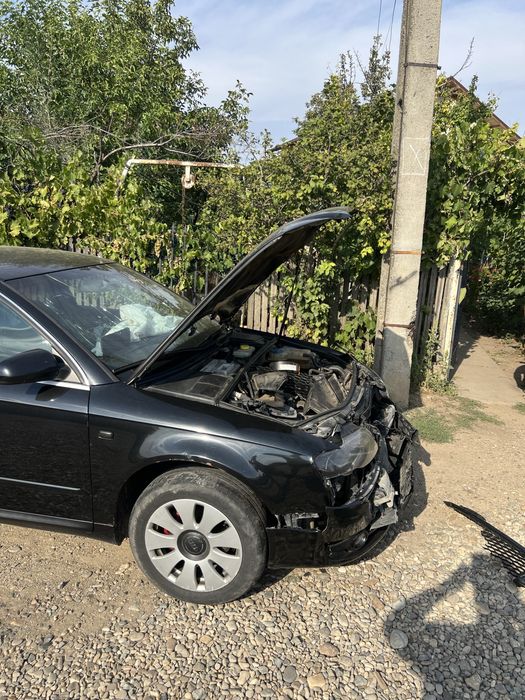 Audi A4 B7 cu dauna