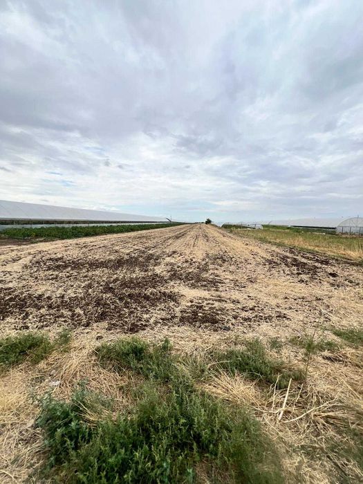 Vand teren in Scarisoara, Olt.