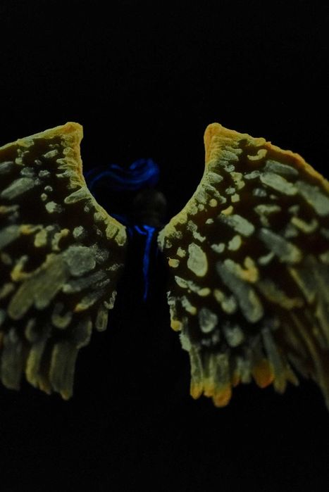 Imprimantă 3D Michael Archangel