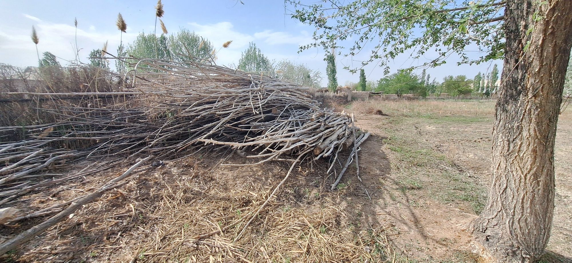 Агашы агашы агашы хороший лучший  красивый отличный  нормальный  краси