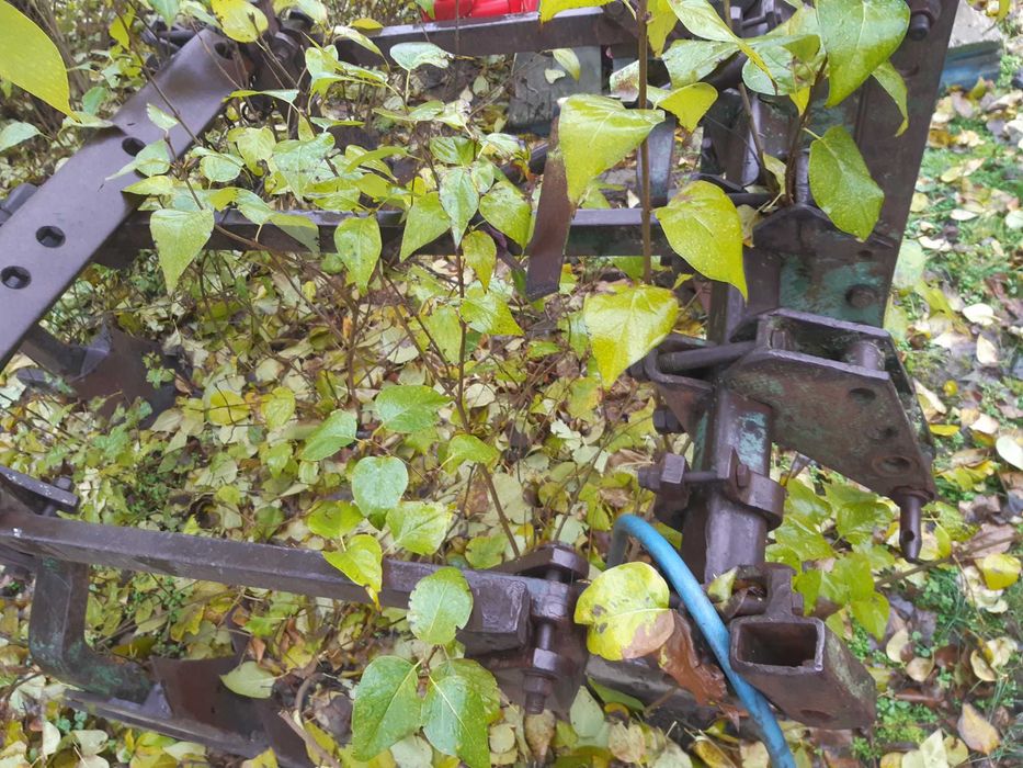 Vând plug viticol cu 5 cormene și 3 ciolane de rezerva ne lucrat cu el