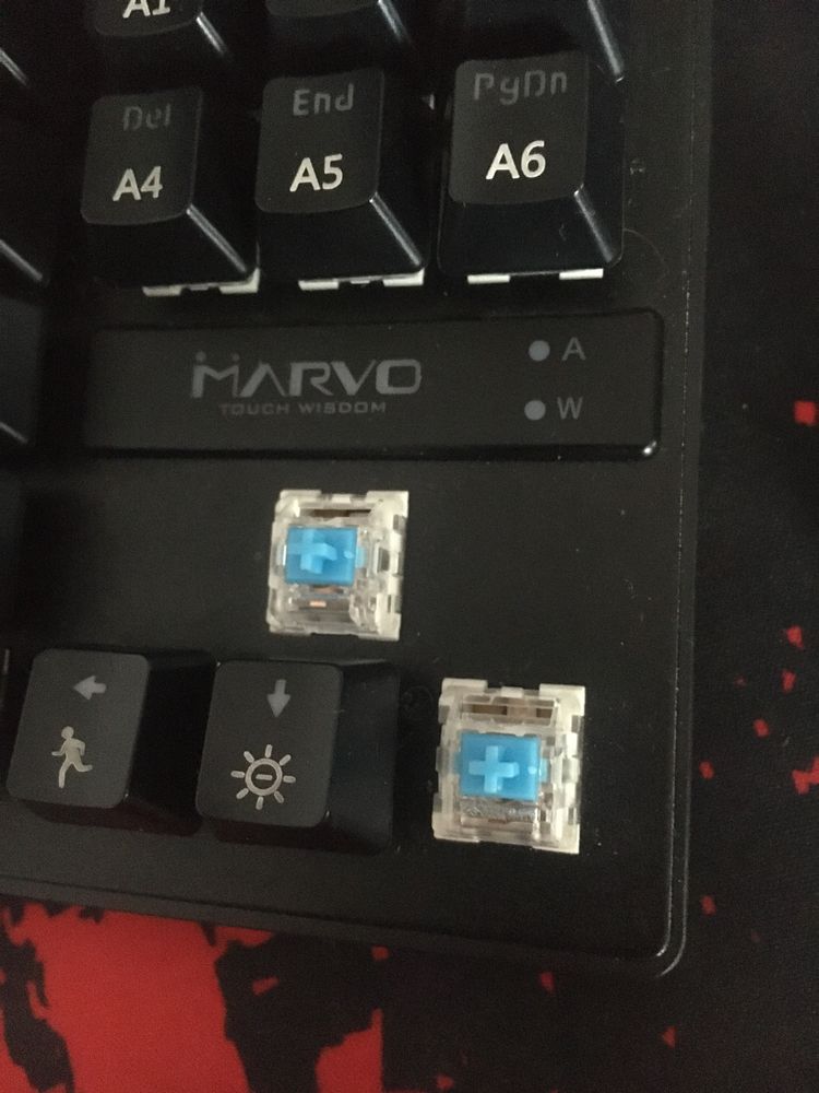 Tastatura “Marvo”