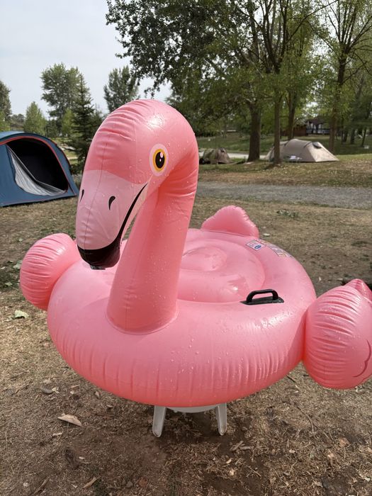 Saltea gonflabila - flamingo