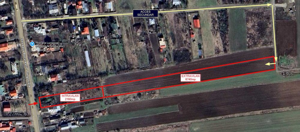 Teren de vânzare 8900mp – Lucianca, Butimanu, Dâmbovița