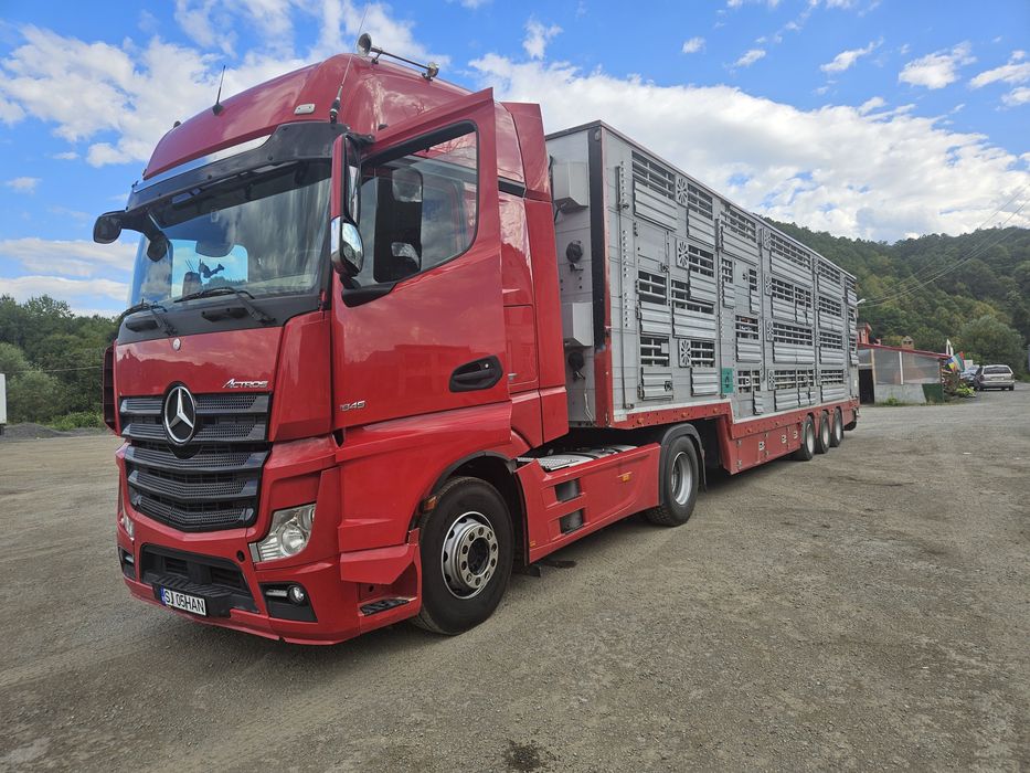 Transport animale vii