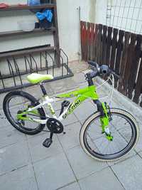 Велосипед Ferrini Duke 20