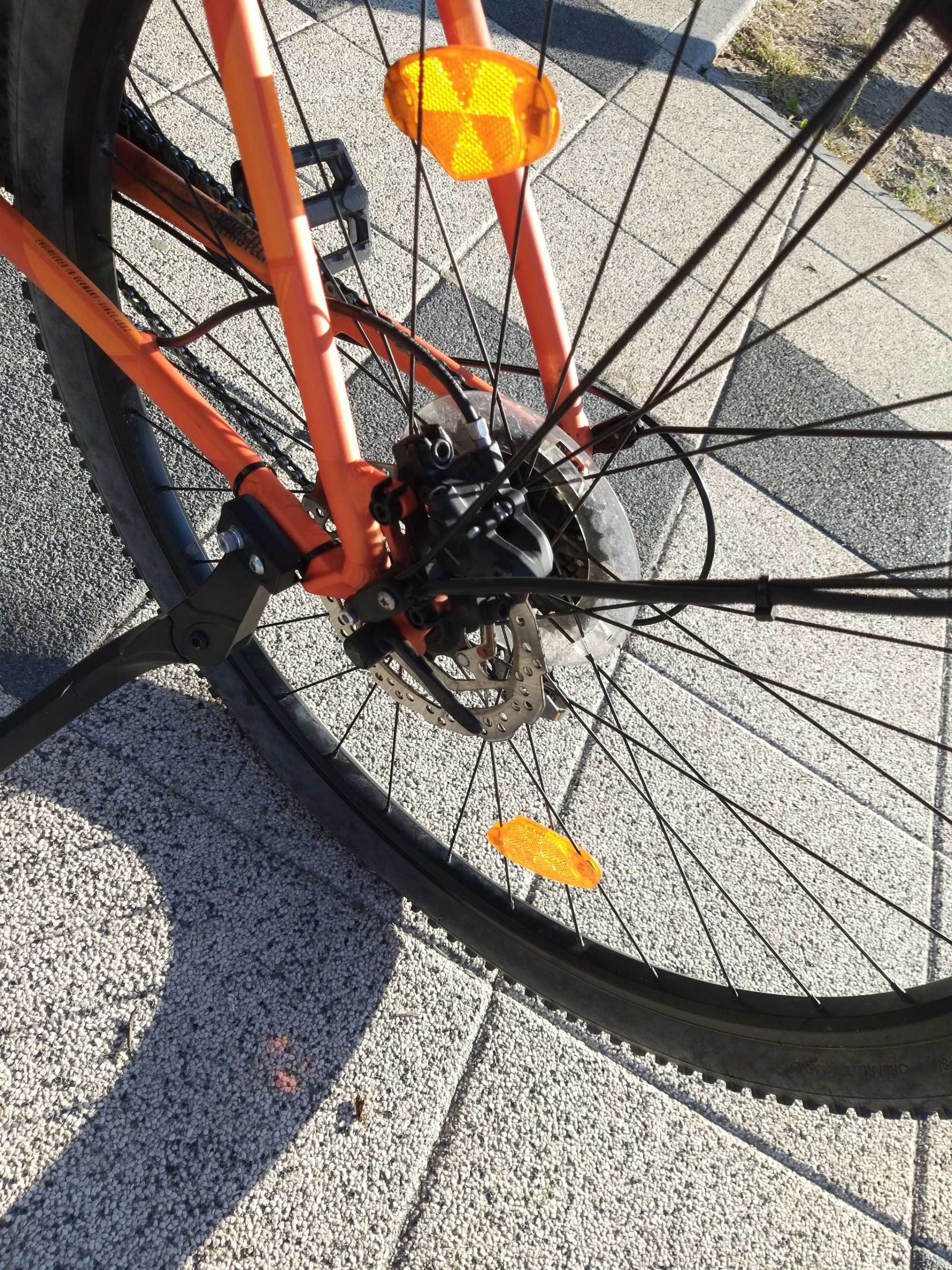 Bicicleta focus comcept