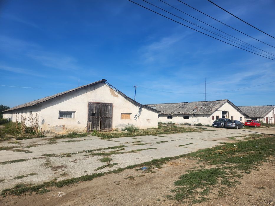 Vând sau Închiriez Ferma Animale