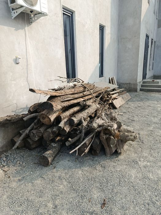 Утин сотилади. Рус дарахт